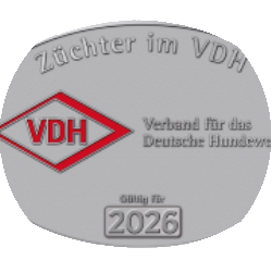 vdh plakette2025 rund